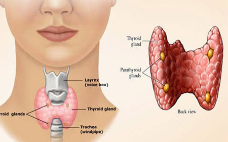 Thyroid Treatment in nashik | Dr. Shreyans Shah